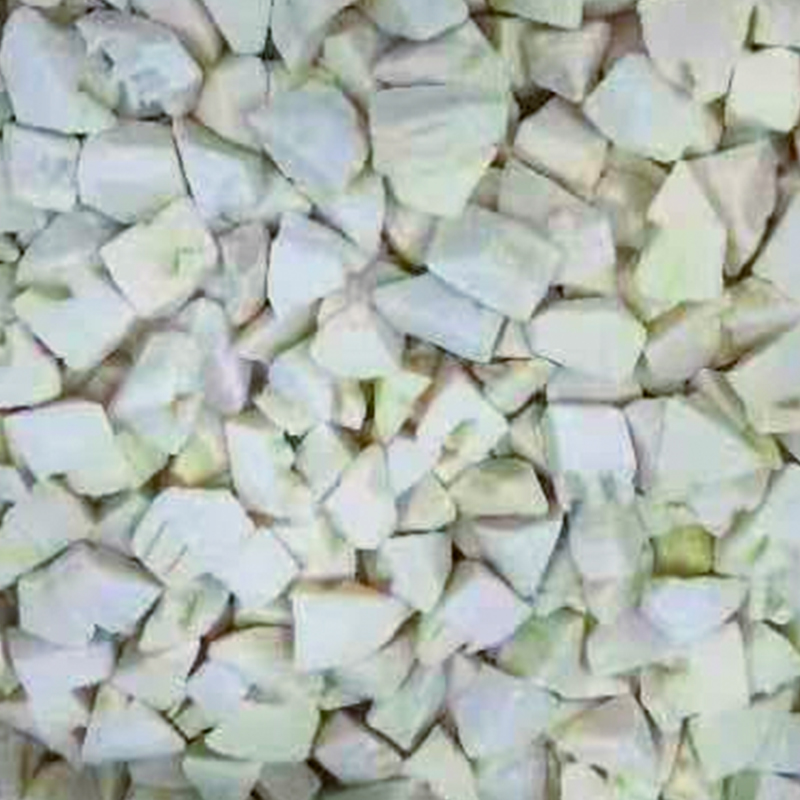 IQF Bamboo propagines secare