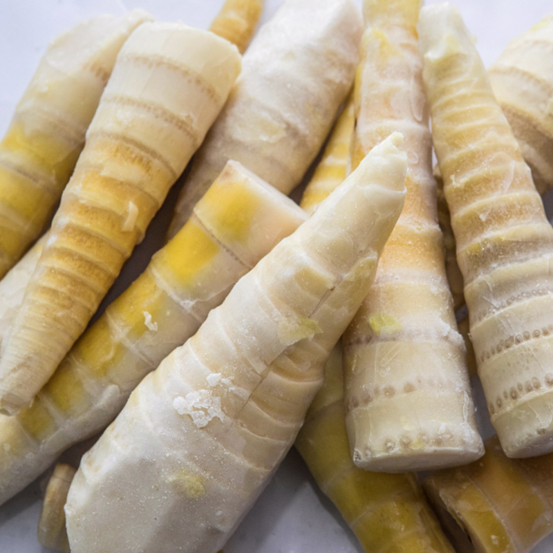 IQF Bamboo propagines totae
