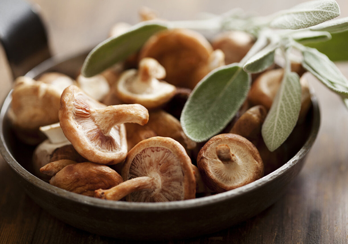 IQF shiitake fungus processus technology